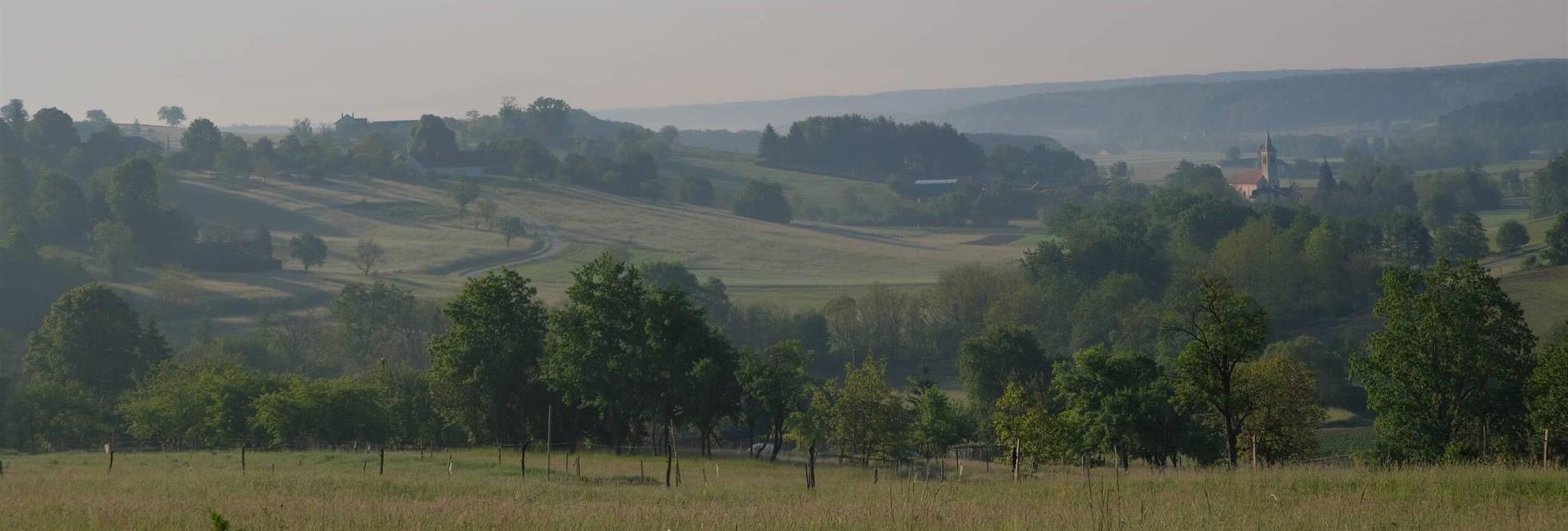 Občina Šalovci