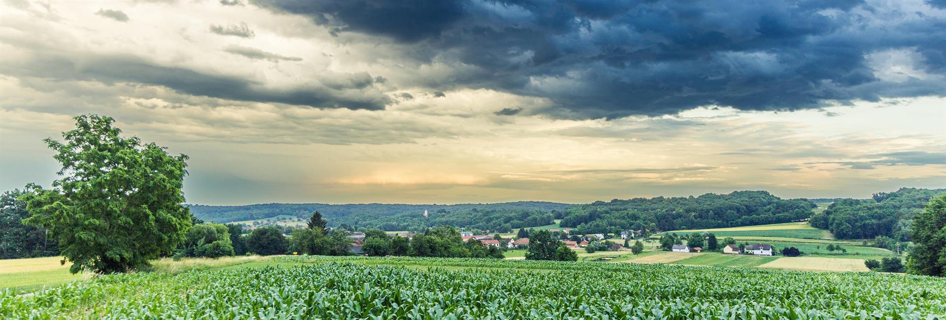 Občina Šalovci 